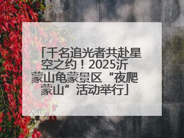 千名追光者共赴星空之约！2025沂蒙山龟蒙景区“夜爬蒙山”活动举行