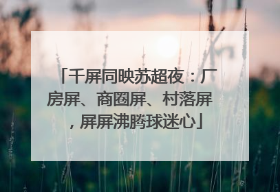 千屏同映苏超夜：厂房屏、商圈屏、村落屏，屏屏沸腾球迷心