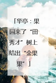 华亭：果园来了“田秀才”树上结出“金果果”