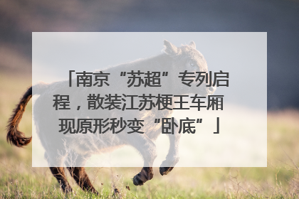 南京“苏超”专列启程，散装江苏梗王车厢现原形秒变“卧底”
