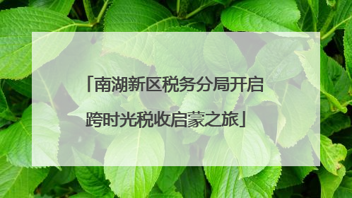 南湖新区税务分局开启跨时光税收启蒙之旅