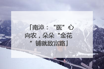 南漳：“医”心向农，朵朵“金花”铺就致富路