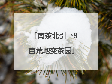 南茶北引→8亩荒地变茶园