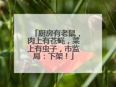 厨房有老鼠，肉上有苍蝇，菜上有虫子，市监局：下架！