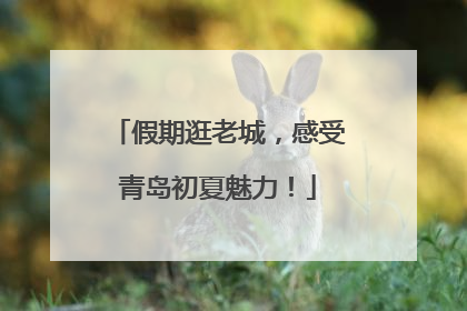 假期逛老城，感受青岛初夏魅力！