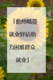 儋州峨蔓就业驿站助力困难群众就业