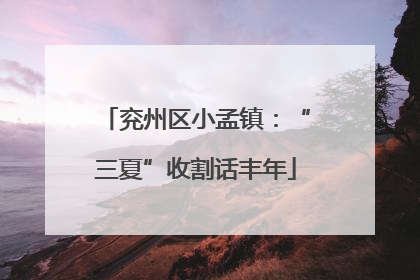 兖州区小孟镇：“三夏”收割话丰年
