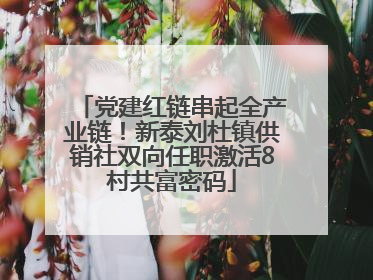 党建红链串起全产业链！新泰刘杜镇供销社双向任职激活8村共富密码