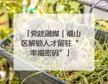 党建融媒｜福山区解锁人才留驻“幸福密码”