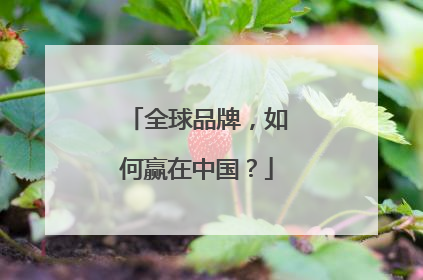 全球品牌，如何赢在中国？