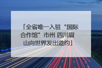 全省唯一入驻“国际合作馆”市州 四川眉山向世界发出邀约