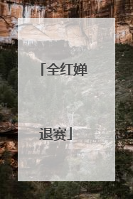全红婵退赛