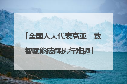 全国人大代表高亚：数智赋能破解执行难题