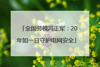 全国劳模冯正军：20年如一日守护电网安全