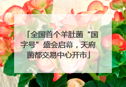 全国首个羊肚菌“国字号”盛会启幕，天府菌都交易中心开市