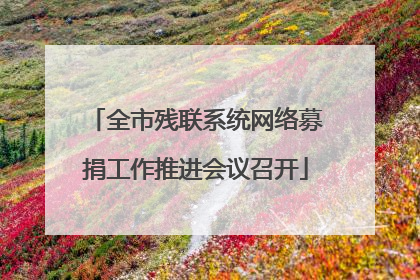 全市残联系统网络募捐工作推进会议召开