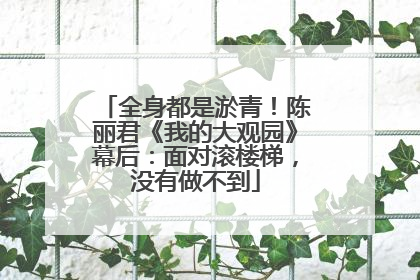 全身都是淤青！陈丽君《我的大观园》幕后：面对滚楼梯，没有做不到