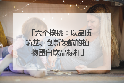 六个核桃：以品质筑基、创新领航的植物蛋白饮品标杆