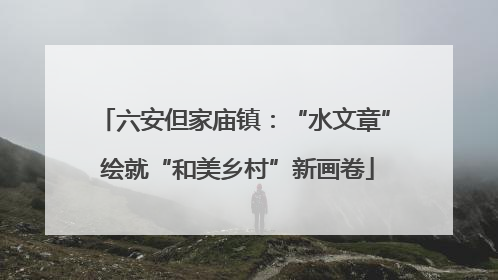 六安但家庙镇：“水文章” 绘就“和美乡村”新画卷