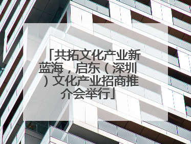 共拓文化产业新蓝海，启东（深圳）文化产业招商推介会举行