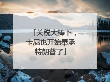 关税大棒下，卡尼也开始奉承特朗普了