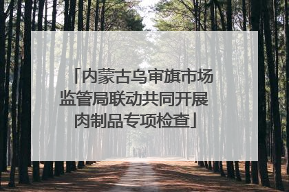 内蒙古乌审旗市场监管局联动共同开展肉制品专项检查