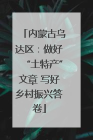 内蒙古乌达区：做好“土特产”文章 写好乡村振兴答卷