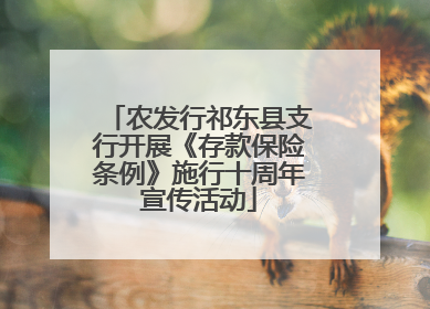 农发行祁东县支行开展《存款保险条例》施行十周年宣传活动