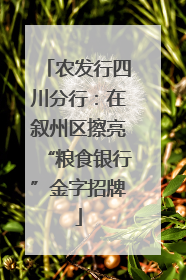 农发行四川分行：在叙州区擦亮“粮食银行”金字招牌