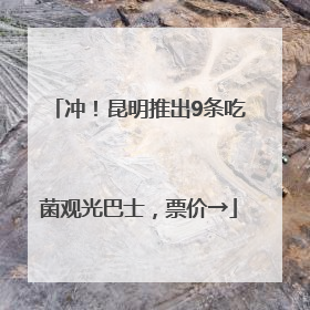 冲！昆明推出9条吃菌观光巴士，票价→
