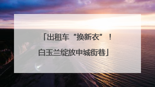 出租车“换新衣”！白玉兰绽放申城街巷