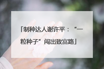 制种达人谢许平：“一粒种子”闯出致富路