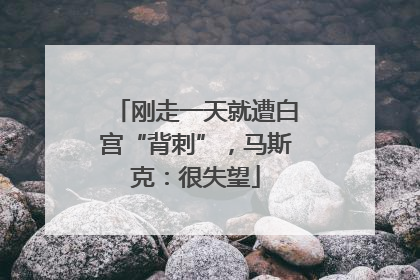 刚走一天就遭白宫“背刺”，马斯克：很失望