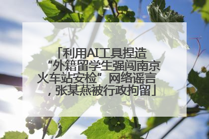 利用AI工具捏造 “外籍留学生强闯南京火车站安检”网络谣言，张某燕被行政拘留