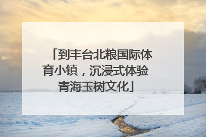 到丰台北粮国际体育小镇，沉浸式体验青海玉树文化