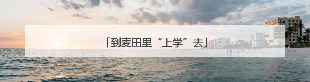 到麦田里“上学”去