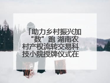 助力乡村振兴加“数”跑 湖南农村产权流转交易科技小院授牌仪式在长沙举行