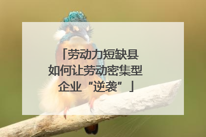 劳动力短缺县 如何让劳动密集型企业“逆袭”