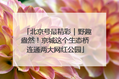 北京号最精彩｜野趣盎然！京城这个生态桥连通两大网红公园
