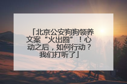 北京公安狗狗领养文案“火出圈”！心动之后，如何行动？我们打听了