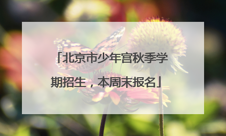 北京市少年宫秋季学期招生，本周末报名