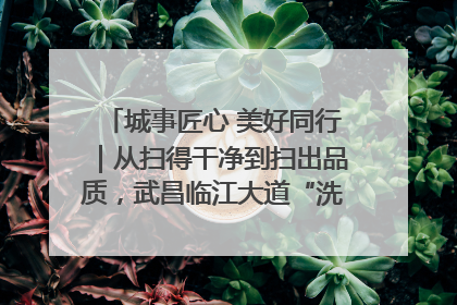 城事匠心 美好同行｜从扫得干净到扫出品质，武昌临江大道“洗”出洁净样板路