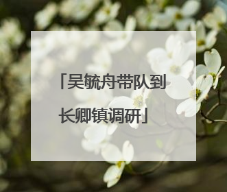吴毓舟带队到长卿镇调研