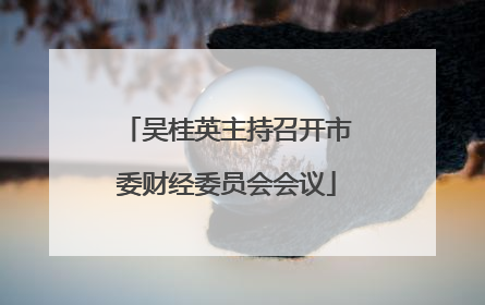 吴桂英主持召开市委财经委员会会议