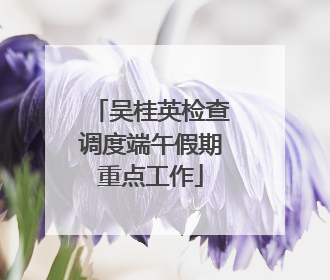 吴桂英检查调度端午假期重点工作
