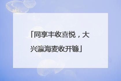 同享丰收喜悦，大兴瀛海麦收开镰