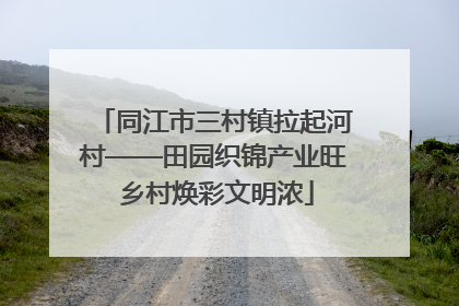 同江市三村镇拉起河村——田园织锦产业旺 乡村焕彩文明浓