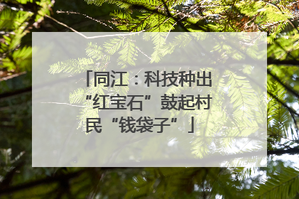 同江：科技种出“红宝石”鼓起村民“钱袋子”