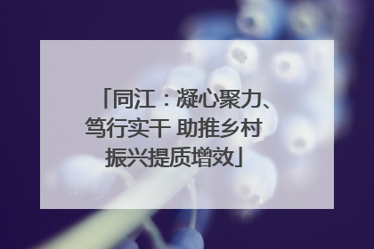 同江：凝心聚力、笃行实干 助推乡村振兴提质增效
