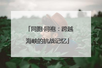 同胞·同袍：跨越海峡的抗战记忆